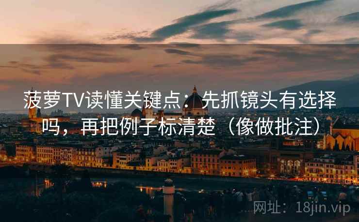 菠萝TV读懂关键点：先抓镜头有选择吗，再把例子标清楚（像做批注）  第2张